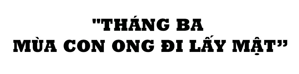 Mùa gom mật ngọt ở miền sơn cước Vũ Quang