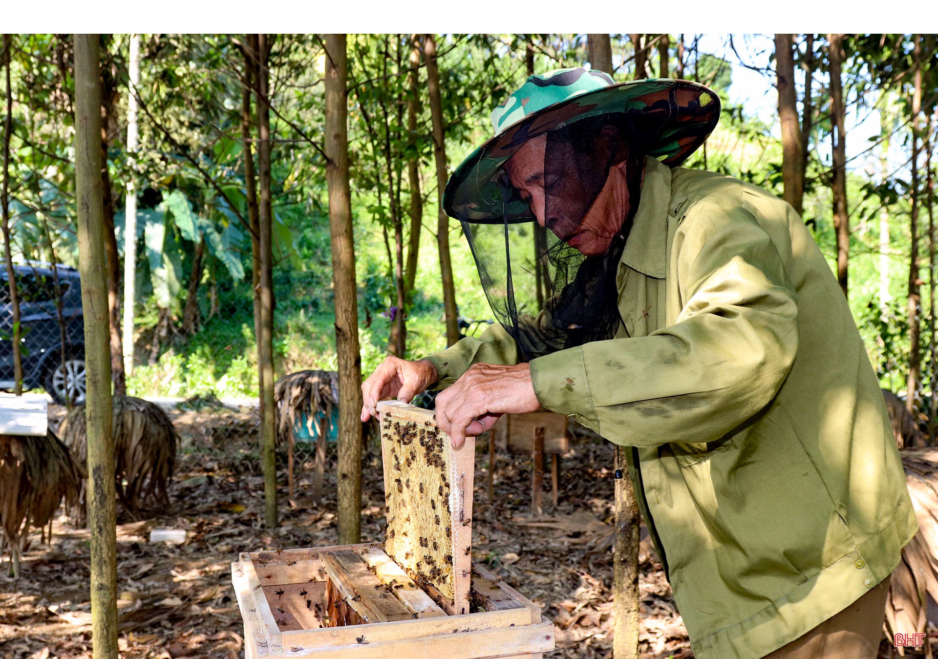 Mùa gom mật ngọt ở miền sơn cước Vũ Quang
