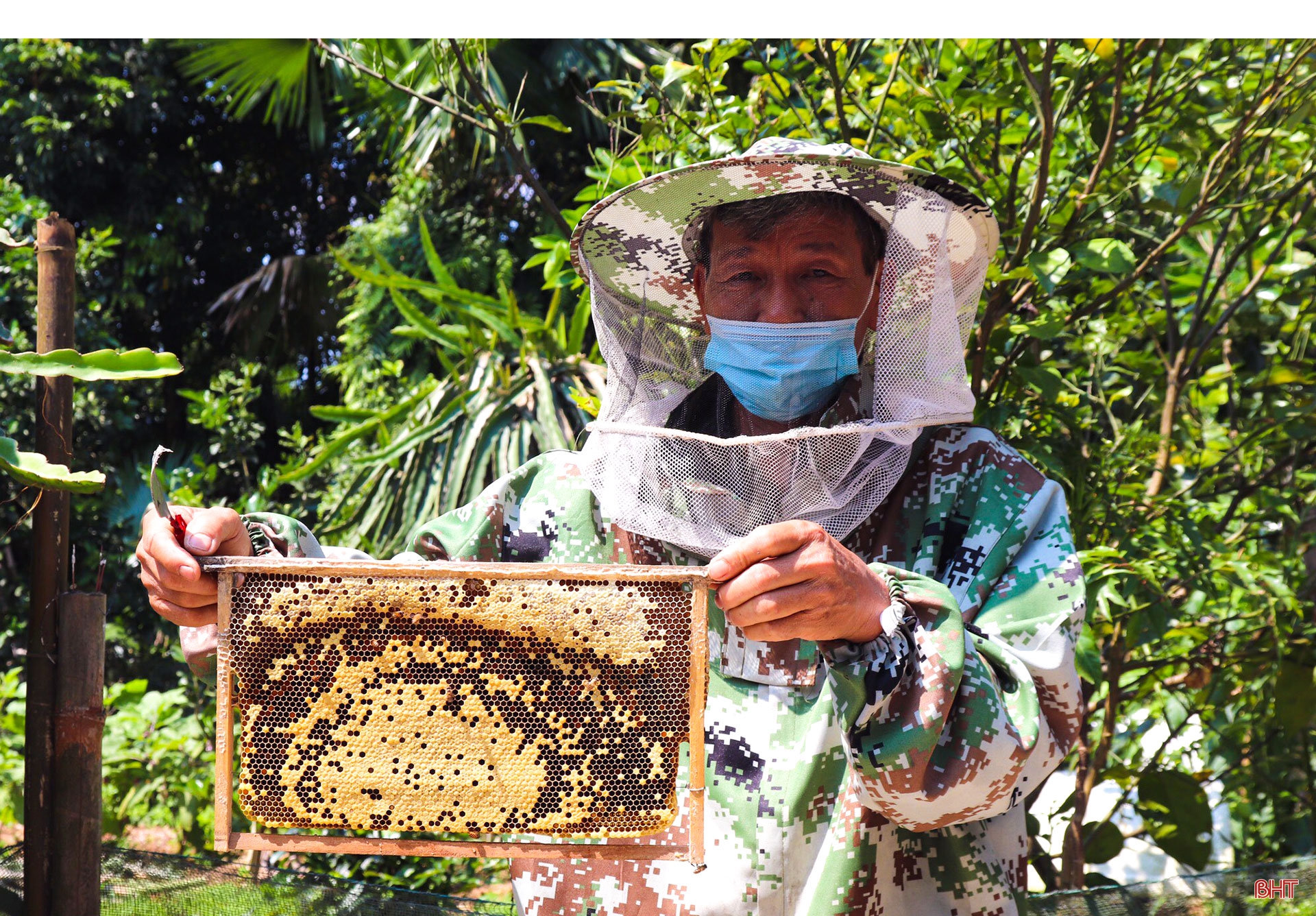 Mùa gom mật ngọt ở miền sơn cước Vũ Quang