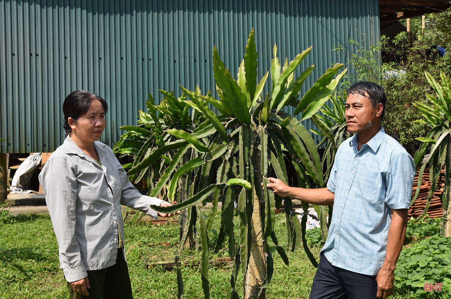 “Đội quân tiên phong” trong đồng bào dân tộc thiểu số ở Hà Tĩnh (Bài cuối): Tháo gỡ khó khăn, tập trung phát triển đảng viên, nhân rộng điển hình tiên tiến