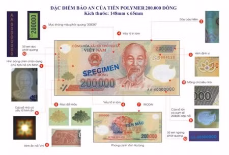 tien viet nam va cach nhan biet ky ii