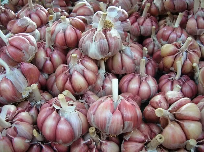 hai mat cua 4 loai gia vi trung quoc trong bua an nguoi viet