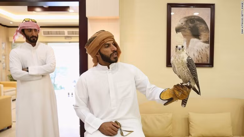 benh vien chim ung lon nhat the gioi o abu dhabi