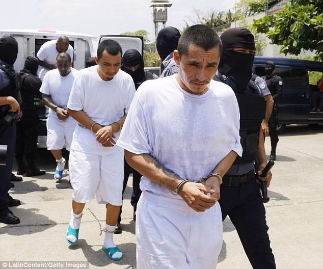bang dang xam minh khet tieng o khu vuc my latinh