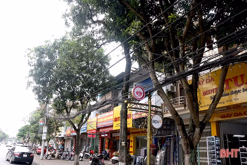 Tuyến đường Phan Đình Phùng ở trung tâm TP Hà Tĩnh sắp được đầu tư nâng cấp