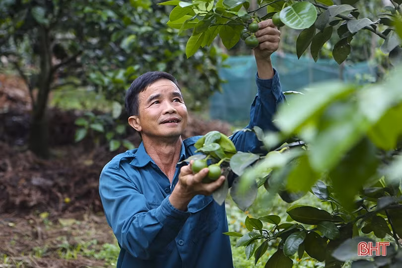 Sắc màu tháng tư trên quê hương Hà Tĩnh