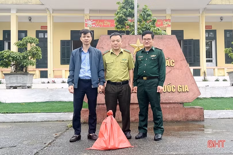 Bàn giao cá thể trăn đất nặng hơn 5 kg cho Vườn Quốc gia Vũ Quang