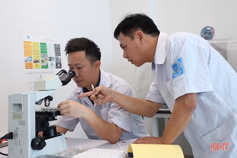 Hà Tĩnh: Không phát sinh bệnh nhân mới bị bọ chét đốt