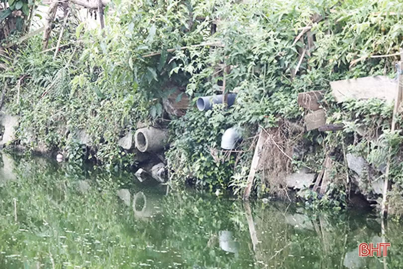Đức Thọ: Hồ chứa nước ở xã trung tâm ô nhiễm nặng