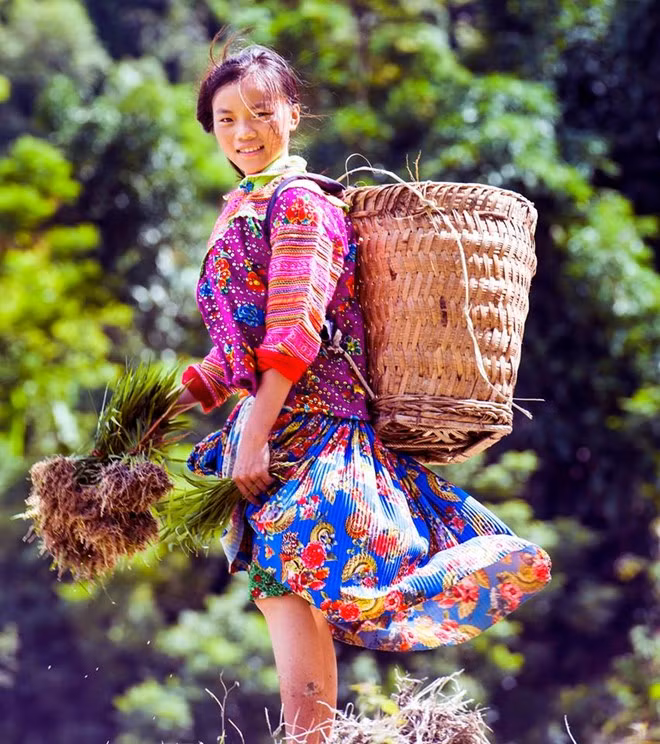 tuyet tac ruong bac thang hoang su phi mua nuoc do