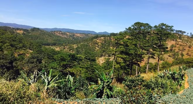 trai nghiem mong mo voi da lat