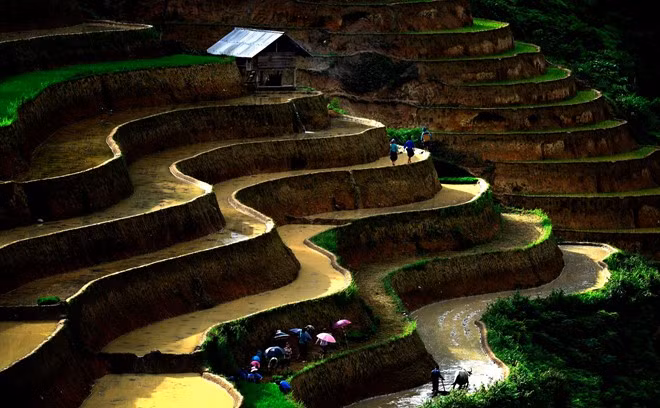 tuyet tac ruong bac thang hoang su phi mua nuoc do
