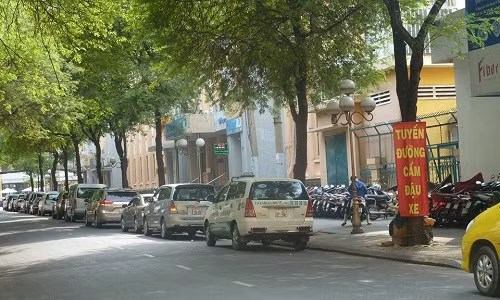 nhung bien cam nhat viet nam