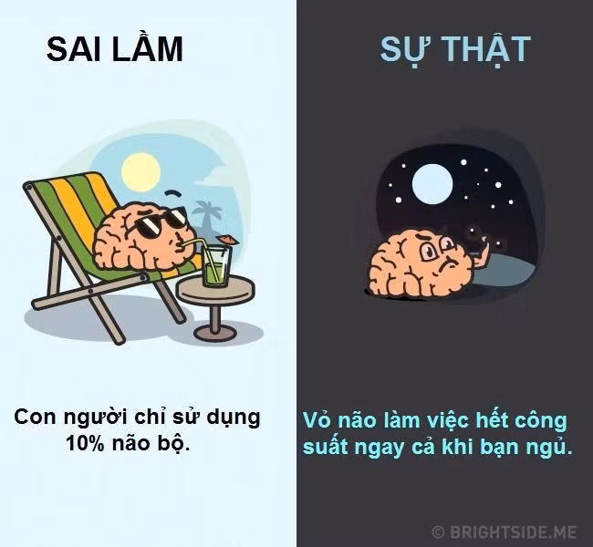 10 quan niem sai lam pho bien ve co the nguoi