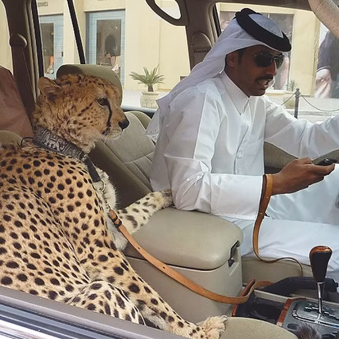 cuoc song xa hoa bac nhat the gioi o dubai