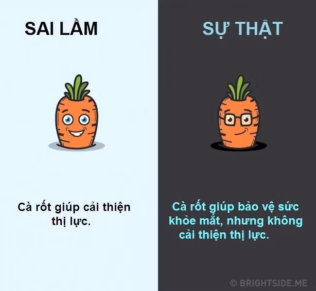 10 quan niem sai lam pho bien ve co the nguoi