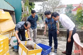 Khẩn trương khoanh vùng, xử lý các ổ dịch sốt xuất huyết