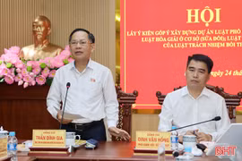 Góp ý xây dựng các dự án luật theo hướng đồng bộ, sát thực tiễn