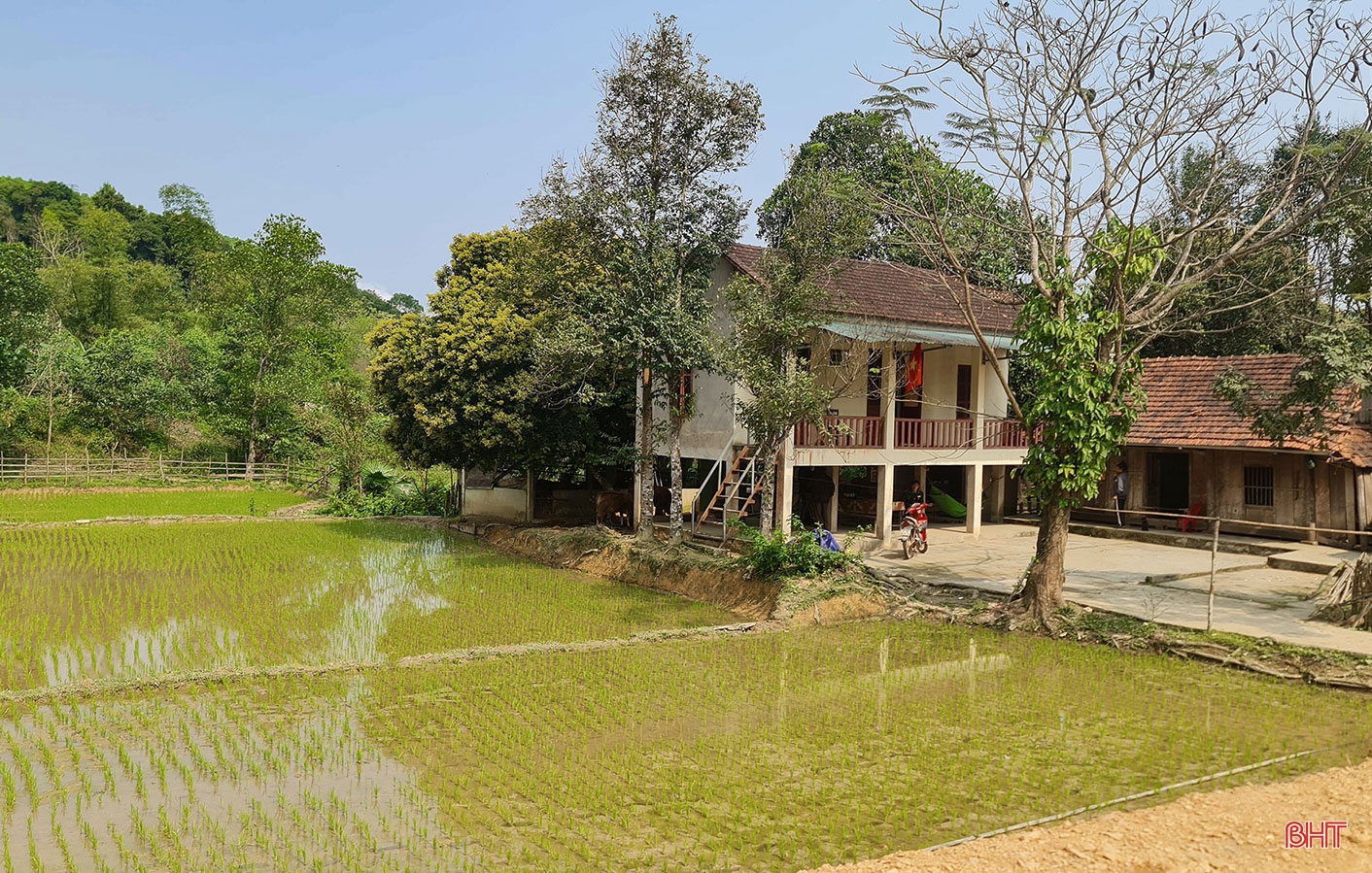 “Đội quân tiên phong” trong đồng bào dân tộc thiểu số ở Hà Tĩnh (Bài 3): Chuyện “chi bộ gia đình” dân tộc Chứt ở bản Rào Tre