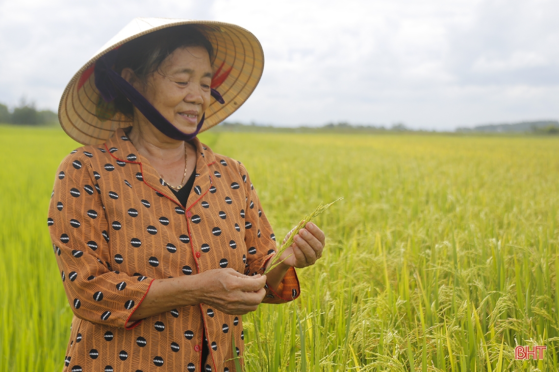 Sắc màu tháng 8 trên quê hương cách mạng Hà Tĩnh