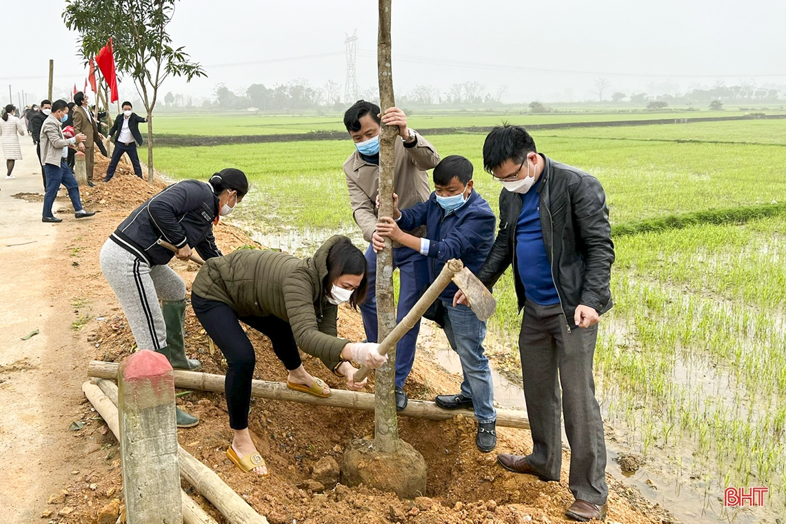 Chủ tịch UBND tỉnh Hà Tĩnh tham gia trồng cây tại các địa phương