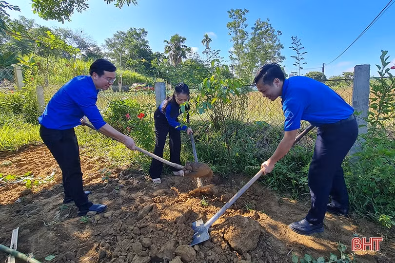 Hơn 450 đội tình nguyện hưởng ứng cao điểm xây dựng nông thôn mới và ngày Chủ nhật xanh