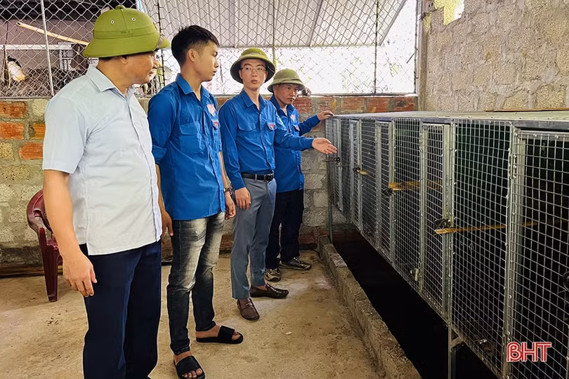 Hơn 450 đội tình nguyện hưởng ứng cao điểm xây dựng nông thôn mới và ngày Chủ nhật xanh