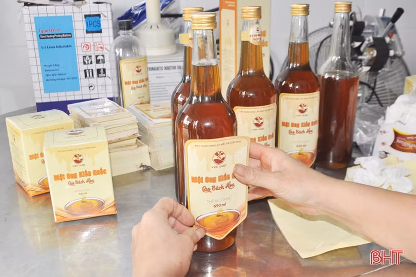 Hạt nhân trên “sân chơi” OCOP ở Hà Tĩnh