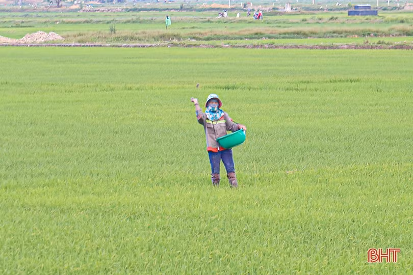 Giá phân bón giảm sâu: Nông dân mừng, cơ sở kinh doanh lo!