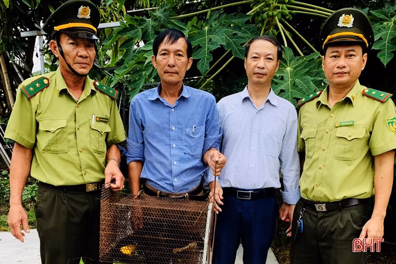 Bàn giao cá thể sóc đen quý hiếm cho Vườn Quốc gia Vũ Quang