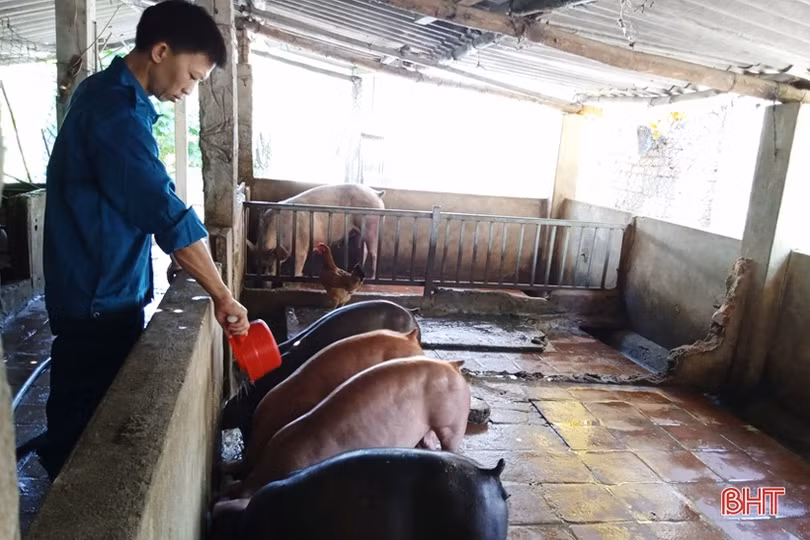 Cán bộ quân sự xã “đa năng” ở Hà Tĩnh