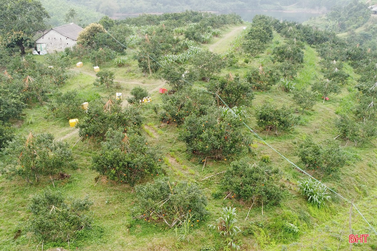 bqbht_br_dji-0236-1.jpg