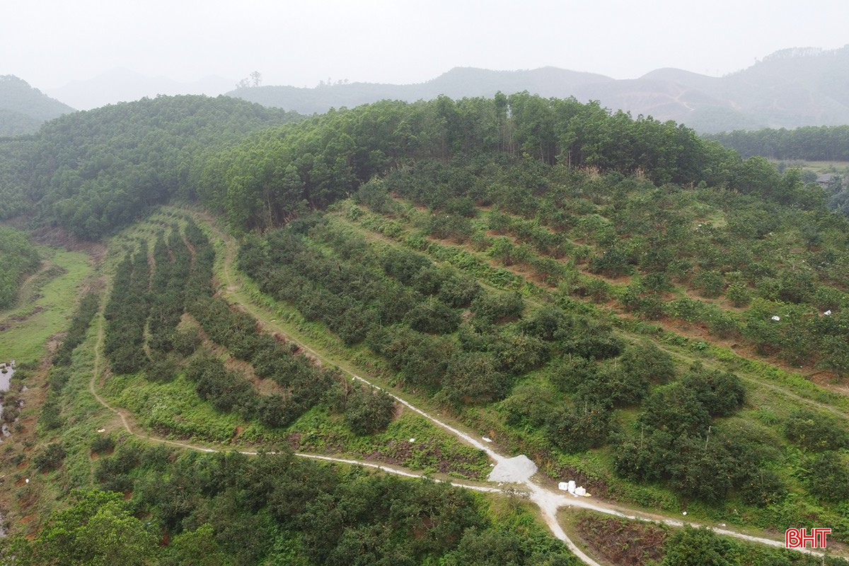 bqbht_br_dji-0251.jpg