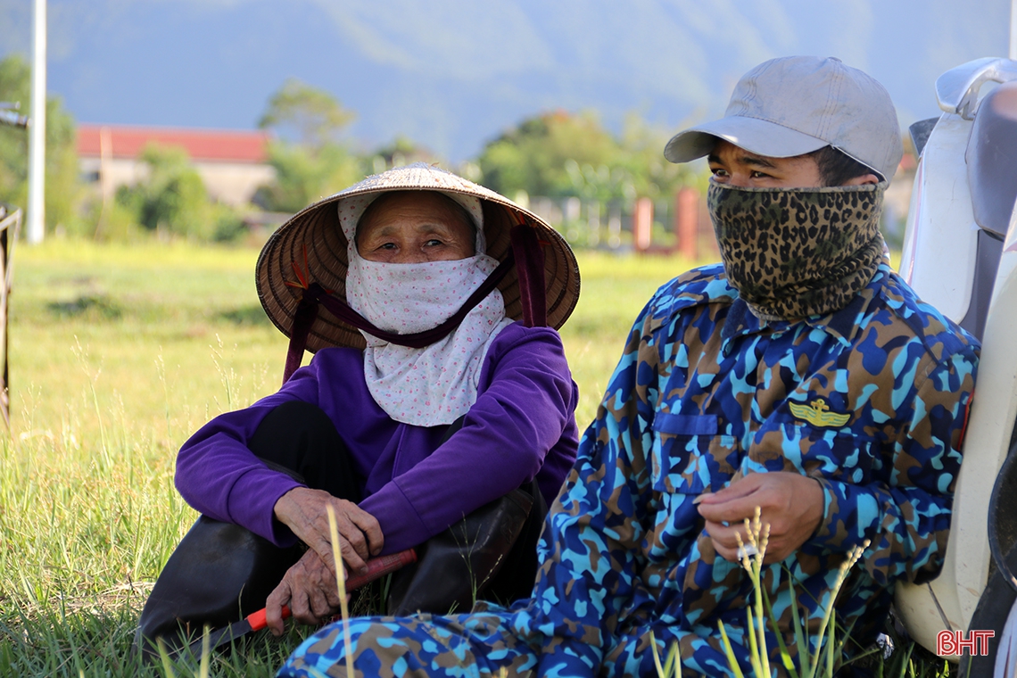 Nông dân thị xã phía Nam Hà Tĩnh hối hả thu hoạch lúa hè thu