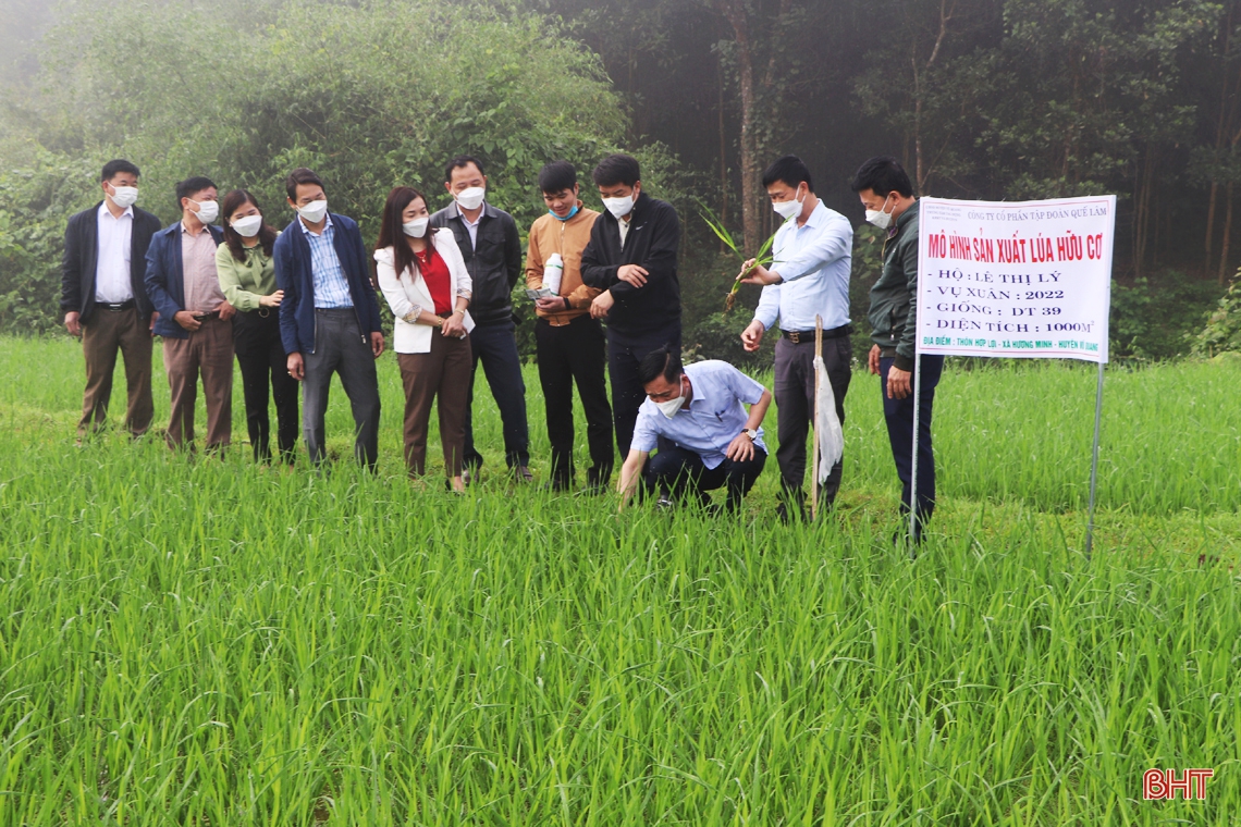 Vũ Quang: Nâng cao chất lượng các tiêu chí huyện nông thôn mới