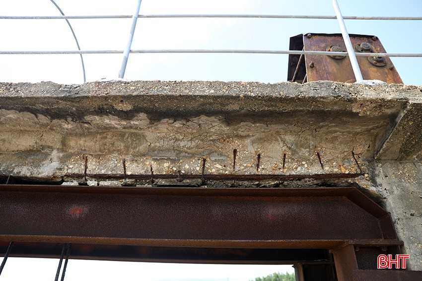 ag7a3733-9249-8716.jpg