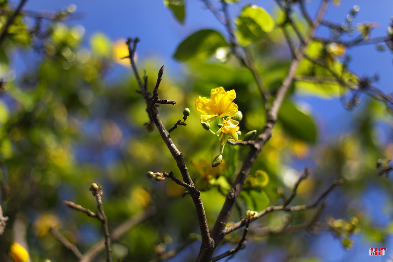 bqbht_br_ag7a7034.jpg