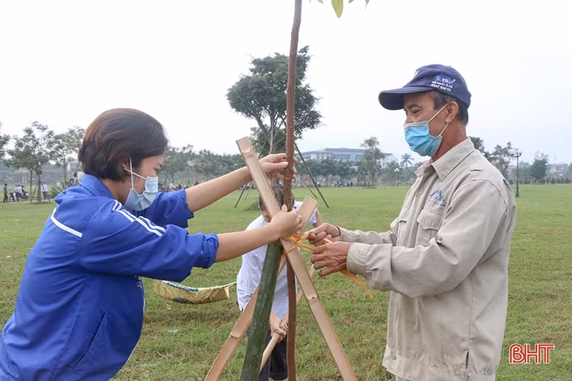 Đồng loạt ra quân trồng cây ở TP Hà Tĩnh