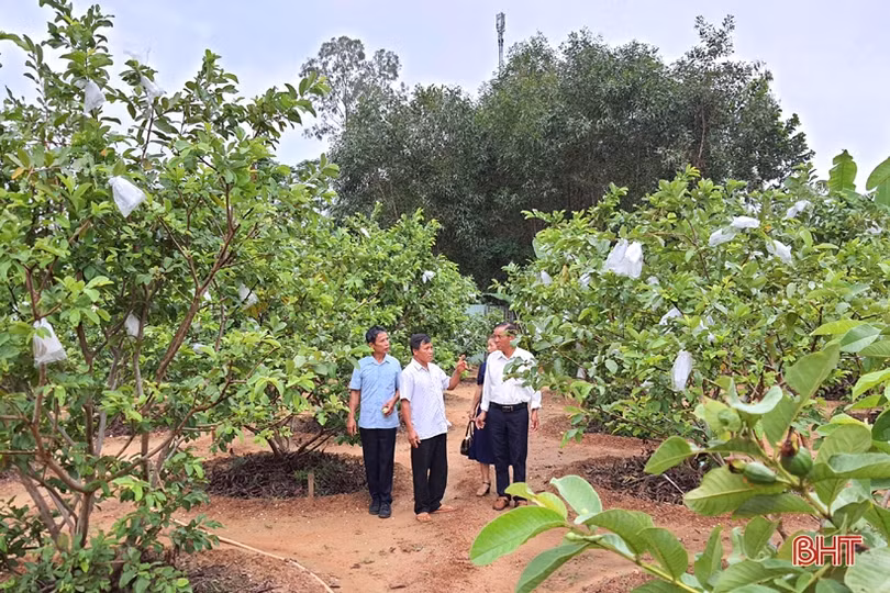 Khi “cây cao bóng cả” tiên phong làm “dân vận khéo” ở Hà Tĩnh