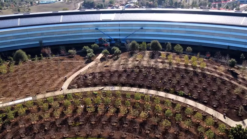 Ngắm trụ sở của Apple đẹp như phi thuyền
