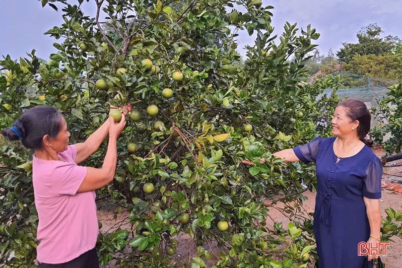 Khi “cây cao bóng cả” tiên phong làm “dân vận khéo” ở Hà Tĩnh