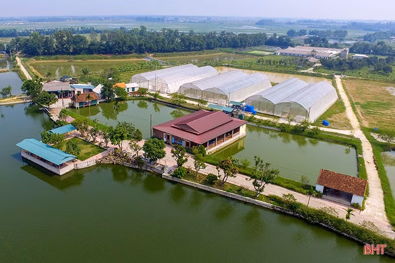 Lãnh đạo Hà Tĩnh thăm hỏi, tặng quà Mẹ Việt Nam anh hùng và Anh hùng LLVT Nhân dân