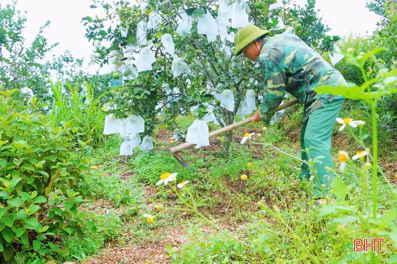Xã “quán quân” xây dựng nông thôn mới nâng cao ở huyện miền núi Hà Tĩnh