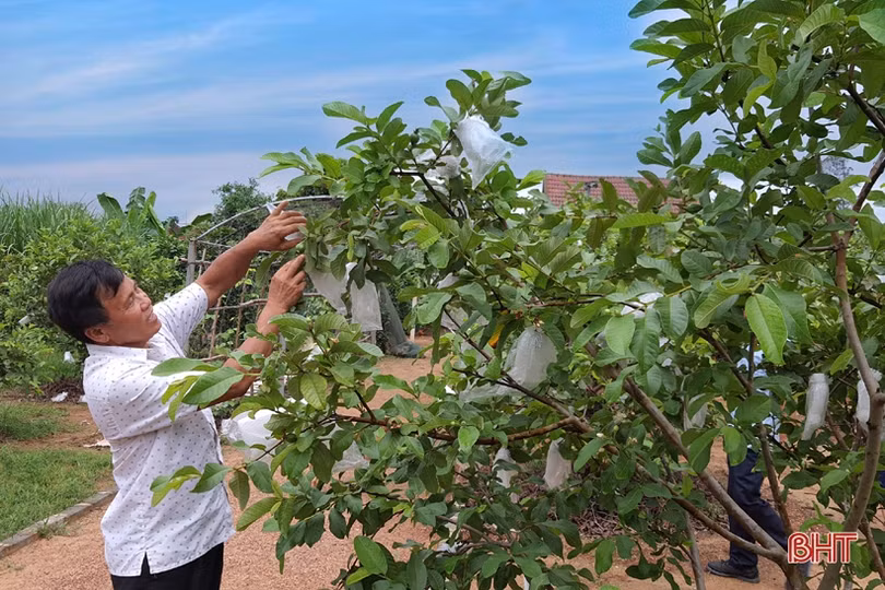 Khi “cây cao bóng cả” tiên phong làm “dân vận khéo” ở Hà Tĩnh