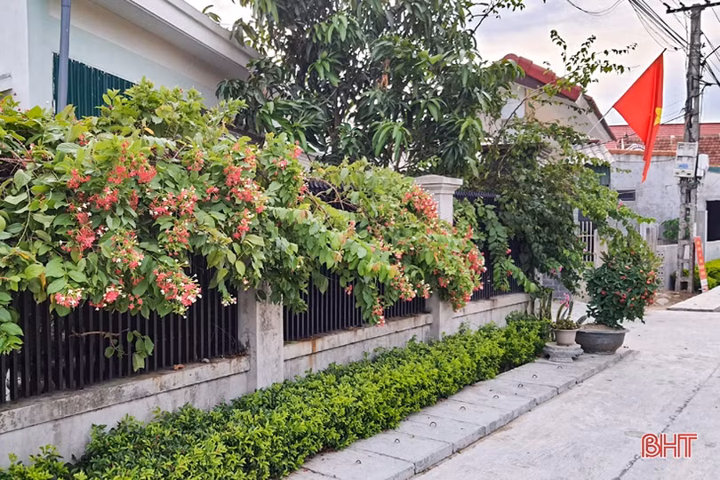 Thăm khu dân cư xanh” nơi vùng biển ngang Kỳ Anh