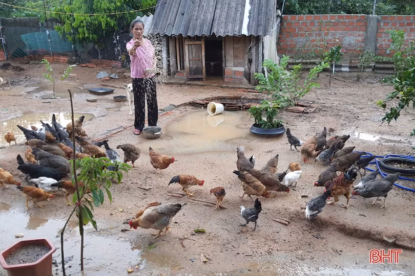 Khi “cây cao bóng cả” tiên phong làm “dân vận khéo” ở Hà Tĩnh
