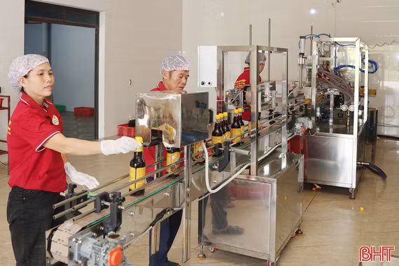 Hợp tác xã chuyển mình nhờ công nghệ