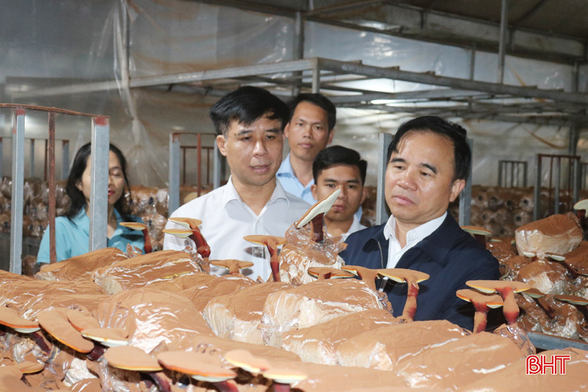 trong namA.jpg