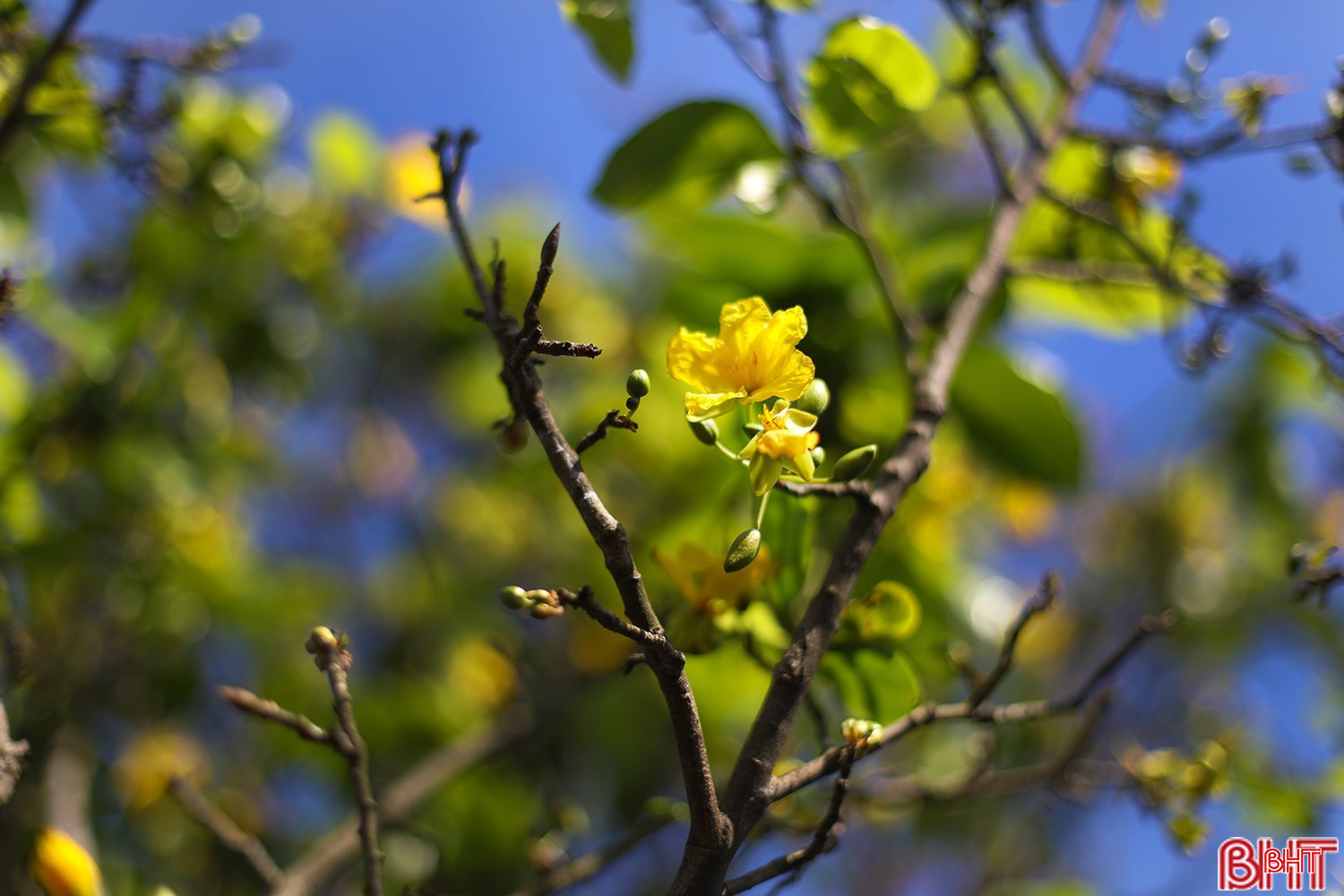 bqbht_br_ag7a7034.jpg