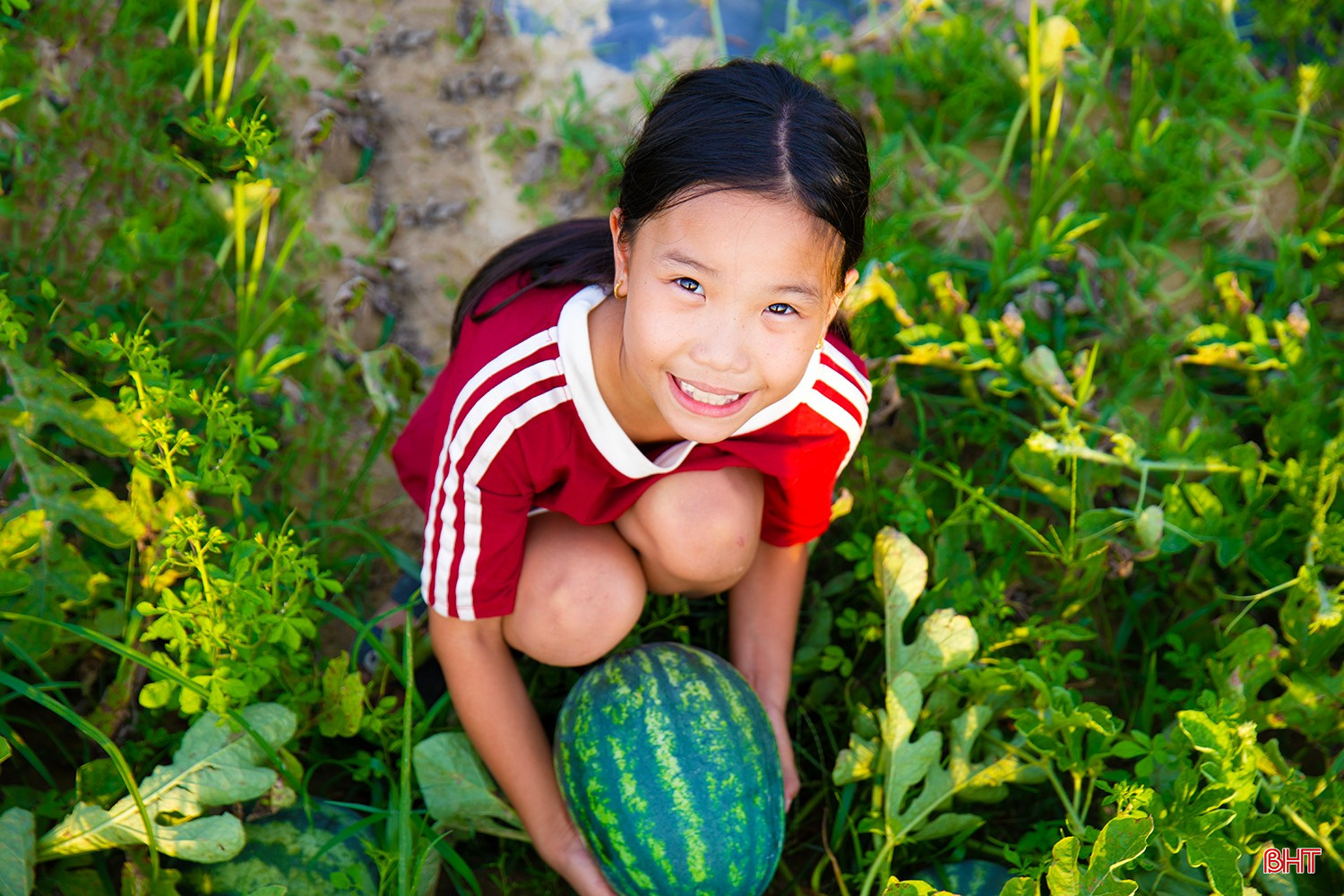 bqbht_br_ag7a5339-copy.jpg